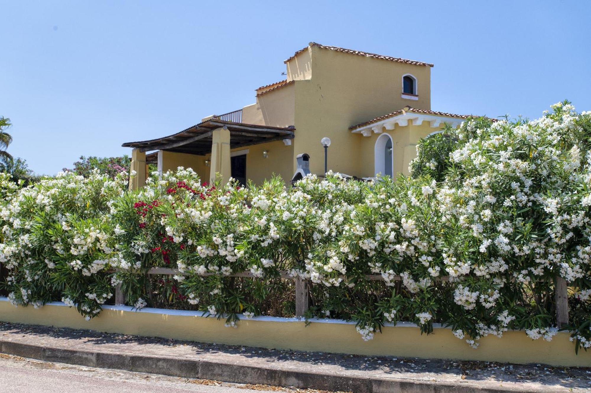 Villa Azzurra Stintino Exterior photo